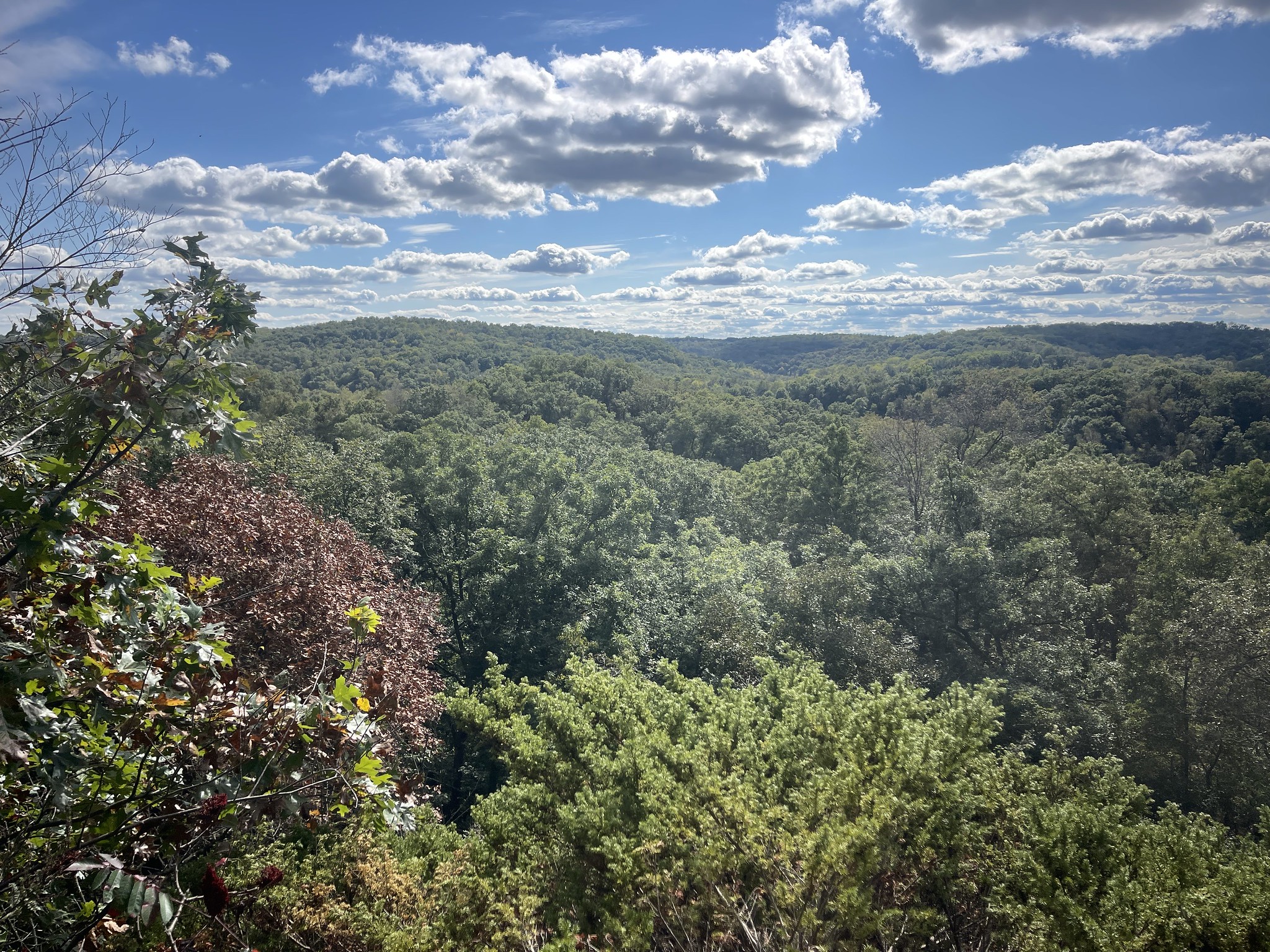 A view overlooking the driftless area of southwest Wisconsin on a sunny day.