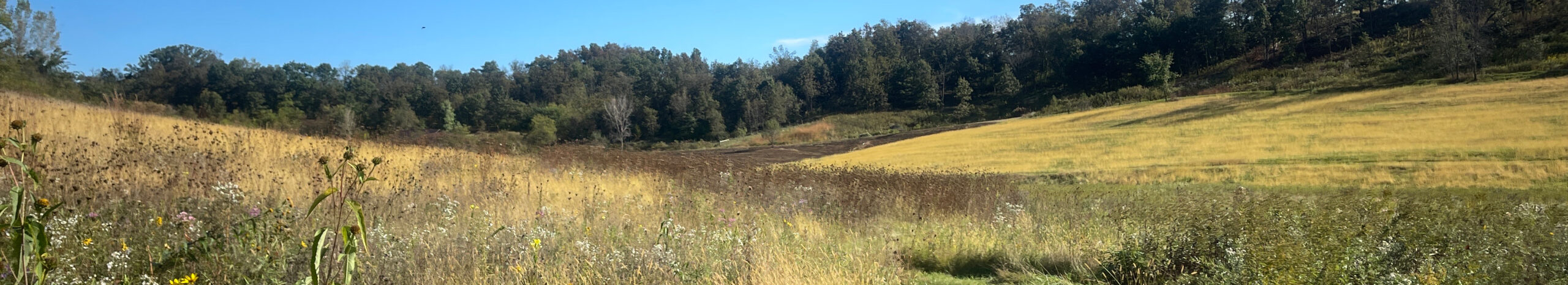 A panoramic view of rolling hills in Wisconsin's Driftless region.
