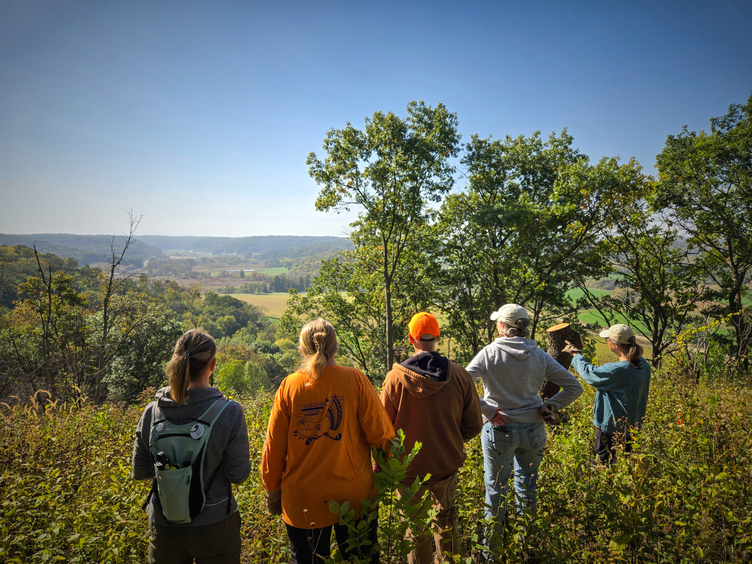 A horse stands behind a wire fence. Green pasture and trees are in the background.