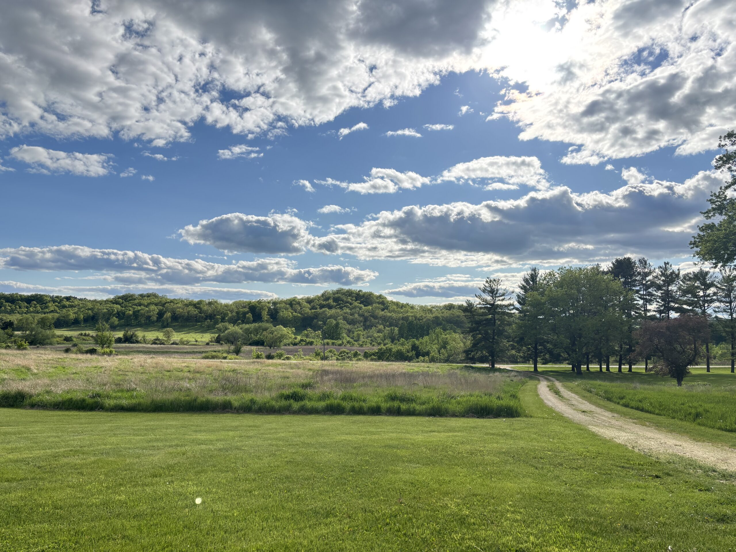 Looking across a mowed prairie towards a driveway leading to the Driftless hills.