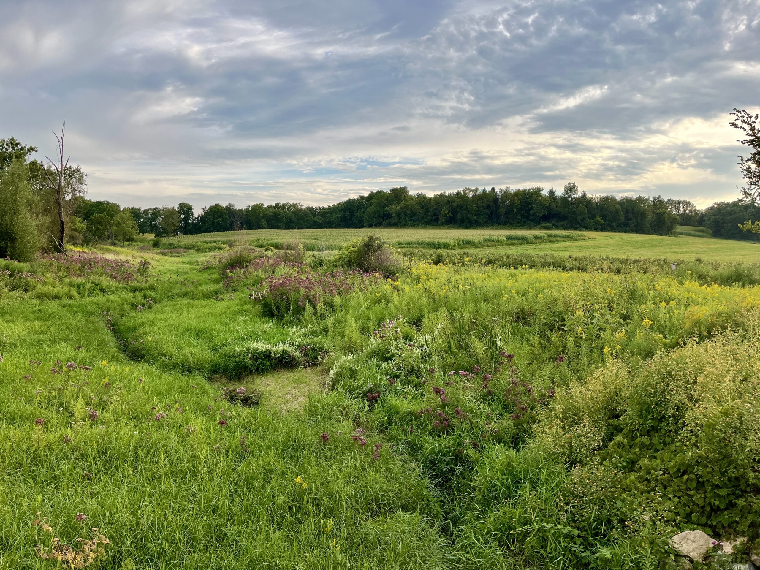 A view overlooking the driftless area of southwest Wisconsin on a sunny day.