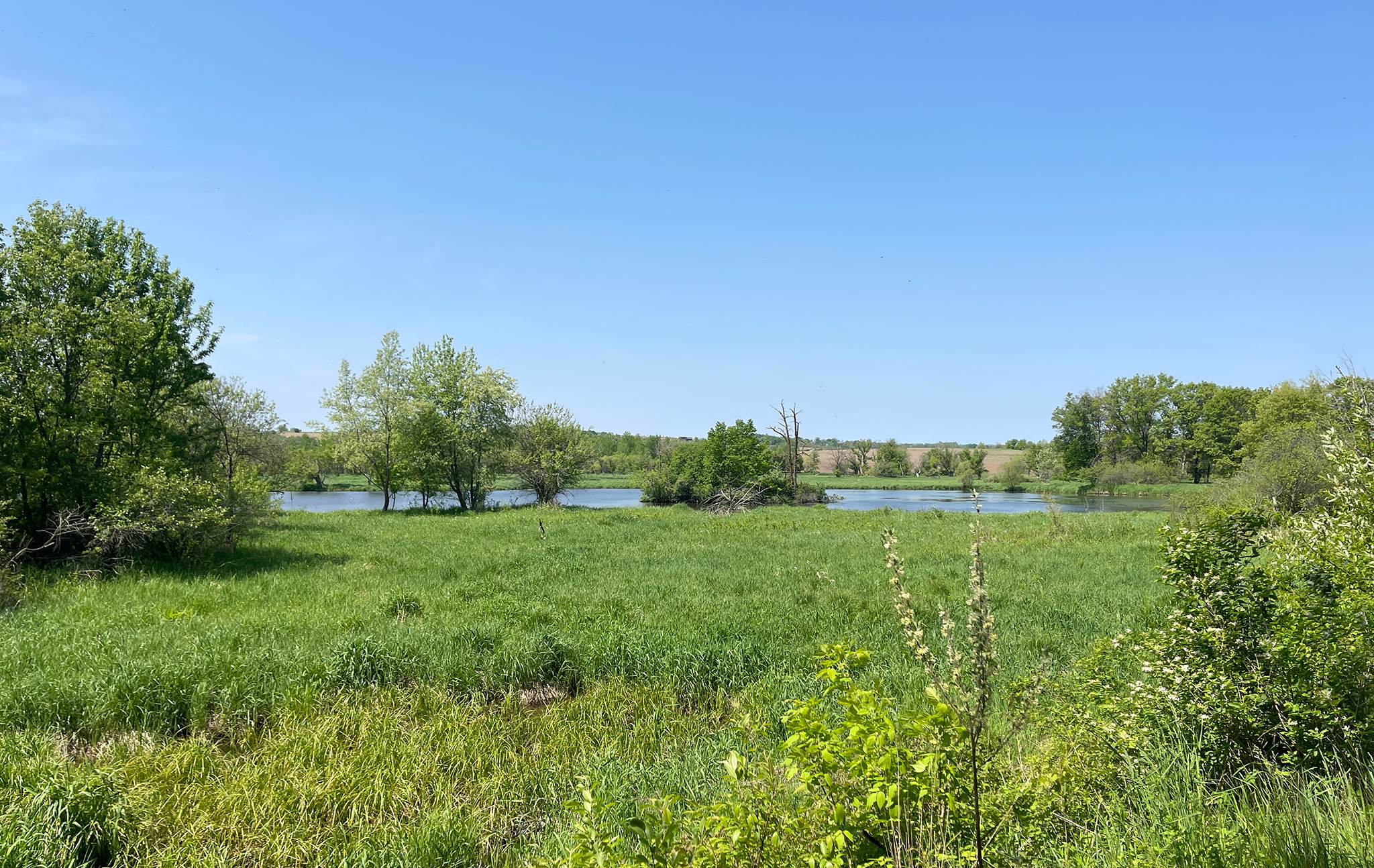 A panoramic view of Erickson Conservation Area.