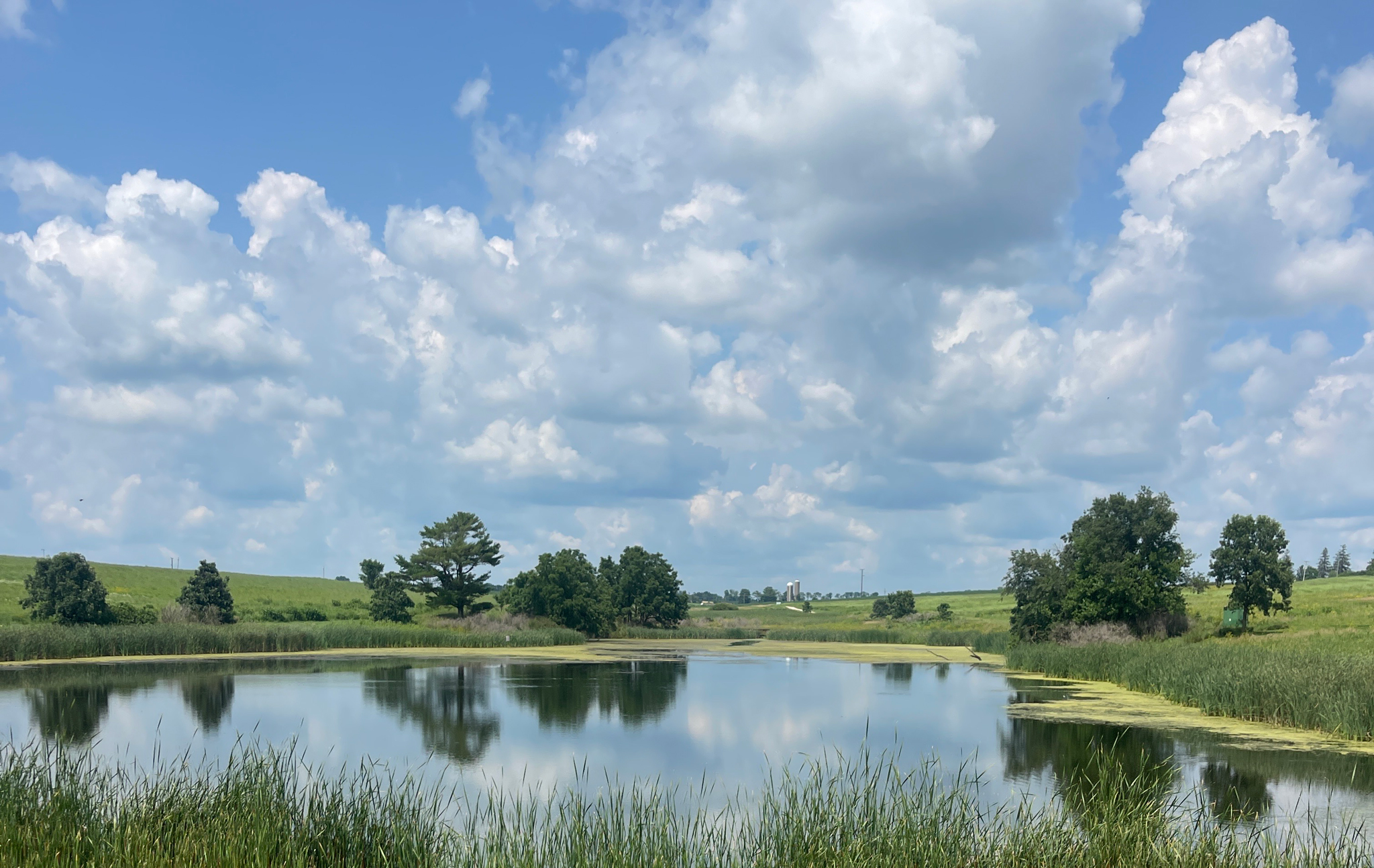 A grassy landscape with a river in the background on a sunny day.
