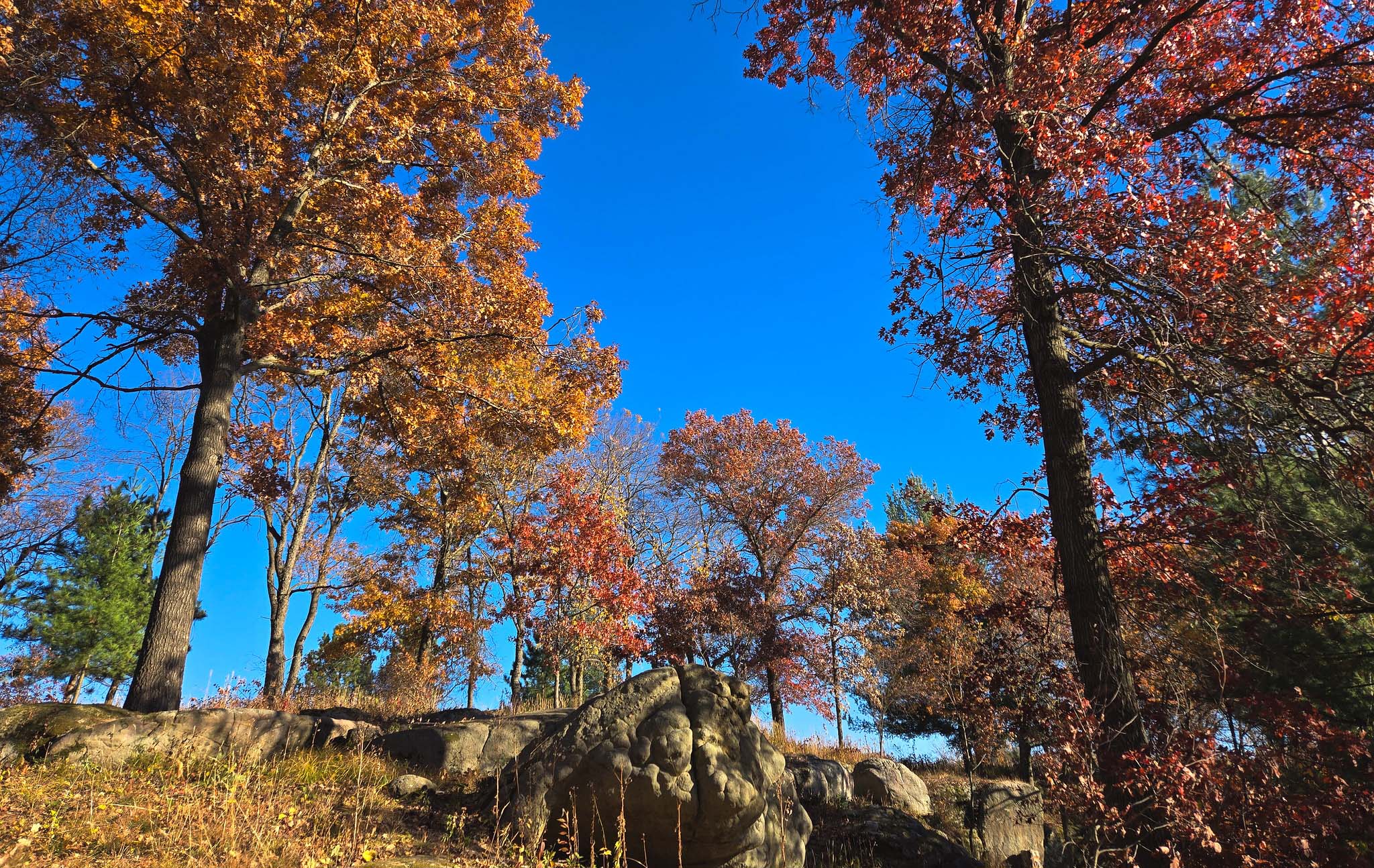 A rock outcrop surrounded by trees in the fall.