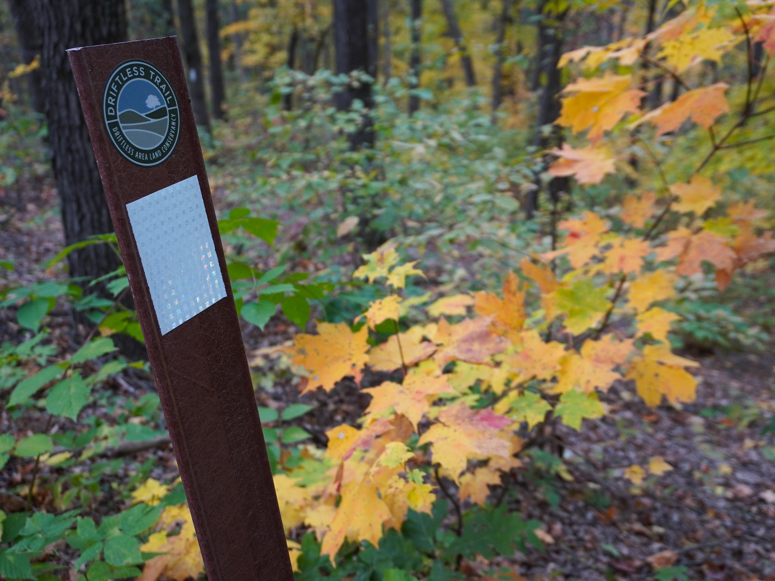 A trail marker on a wooded section of the Driftless Trail.