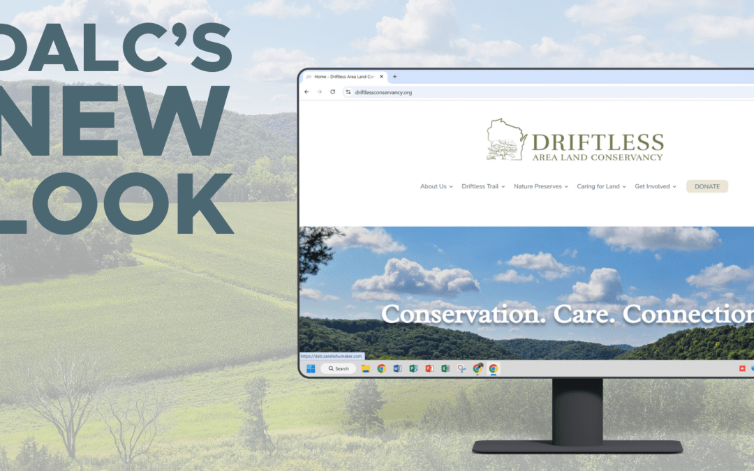 DALC’s New Look