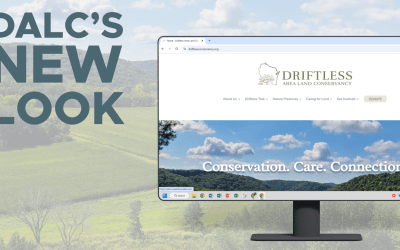 DALC’s New Look