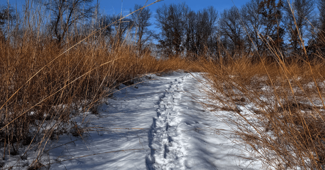 A Fresh Start on the Land: Where to Hike This New Year’s Day