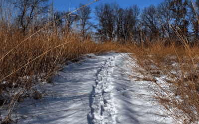 A Fresh Start on the Land: Where to Hike This New Year’s Day
