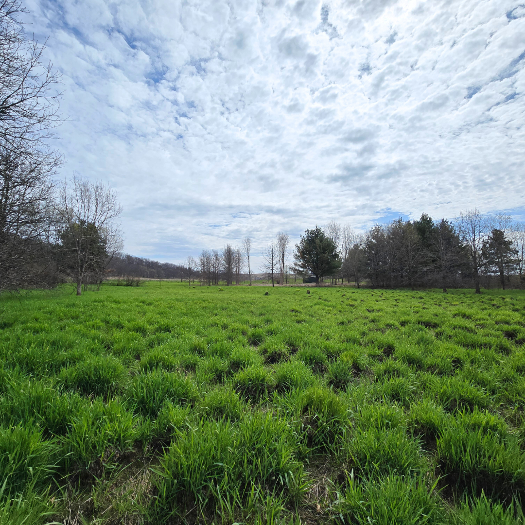 Erikson Conservation Area