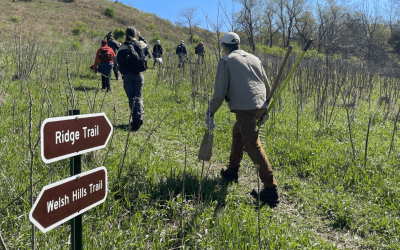 Plan Your Adventure in the Driftless