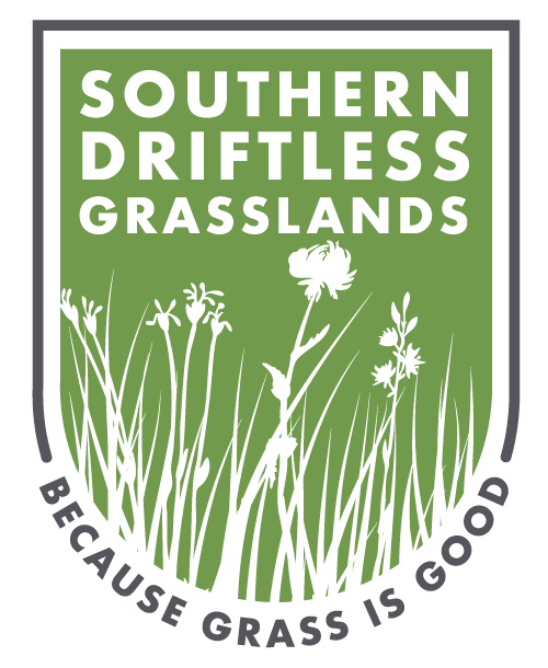 SDG Logo